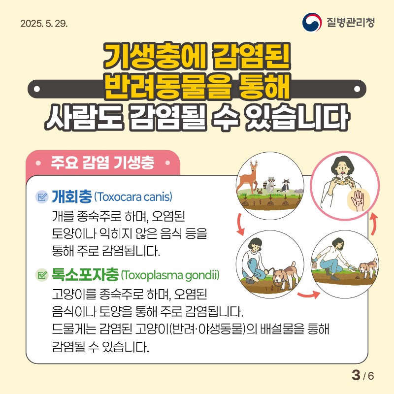 기생충감염병-카드뉴스3.jpg